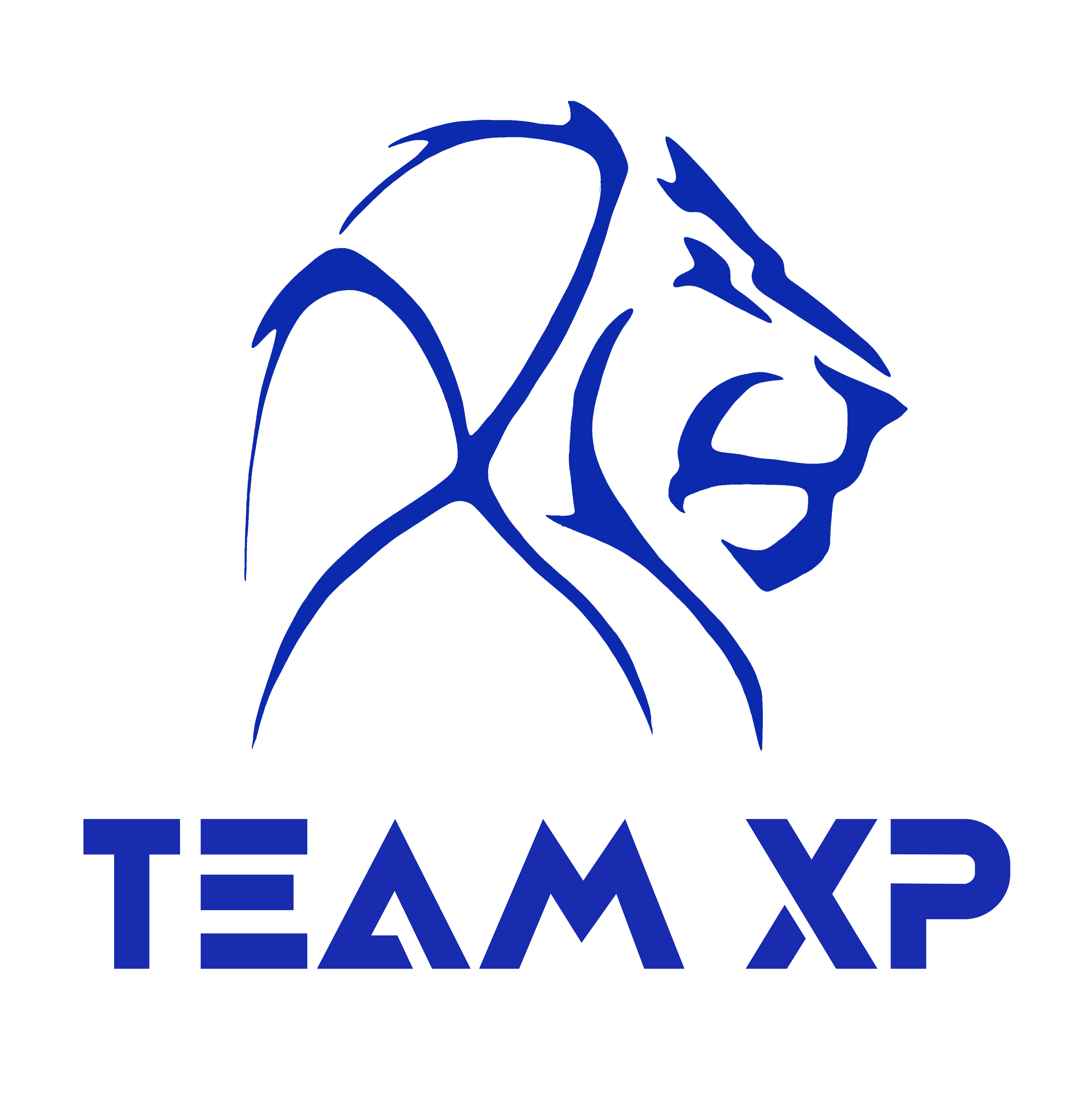 Team Xipi
